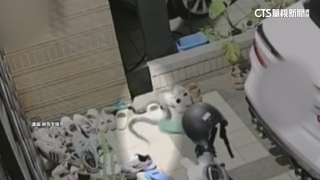 住家外穿鞋驚見「雨傘節」　男大驚失色拔腿狂奔