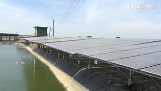 「漁電共生」爆7成無魚　經部：無養殖事實廢止許可