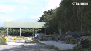 大樹山區疑遭濫墾　路口裝監視器還有「小蜜蜂」盯梢