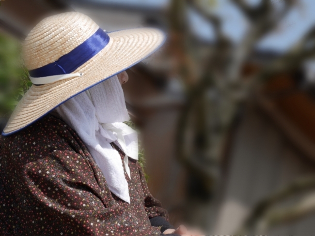 少年當詐騙幫助犯毀了「母親畢生積蓄」！　律師嘆：這位媽媽做錯了什麼？ | 華視新聞