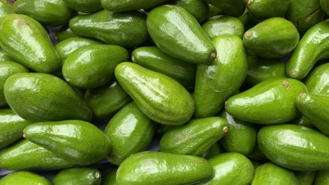 甜點控必學！　農糧署教「3酪梨甜品」　作法超簡單 | 華視新聞