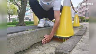 公園「高低差」70歲總裁吊單槓摔傷　獲判國賠近163萬