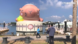 治癒系天王來囉！　「卡比胖拉」登陸安平港　為期逾1個月
