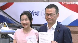 藍主席選舉！　鄭麗文.羅智強完成領表　張亞中需補件