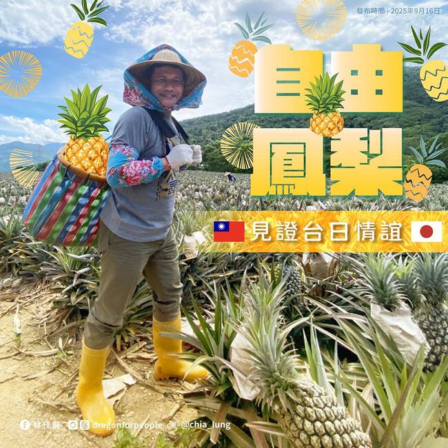 台灣鳳梨出口「日本幾乎全包」　　林佳龍：自由鳳梨日本最懂！ | 華視新聞