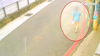 22歲女大生遭砍30多刀亡　17歲前男友彰化落網