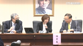 綠提前布局2026　傳何欣純.陳瑩.王義川戰艱困選區