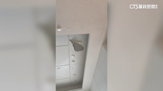 中和建案「冷氣排水共管堵塞」　屋主崩潰：裝潢「全泡湯」