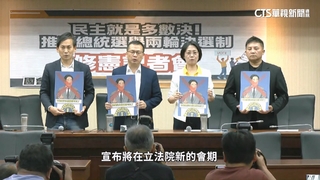 藍委提總統選舉「兩輪絕對多數」　綠委：建議先選好黨主席