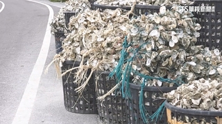 東石槍擊！雙方熟識曾有爭執　疑新仇舊恨開槍