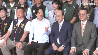 立院19日開議！綠黨團幹部難產　週五黨團大會「推選六長」