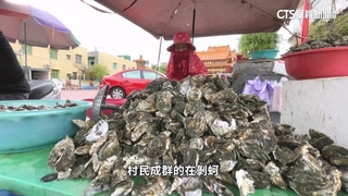 東石槍擊！　雙方熟識曾有爭執　疑新仇舊恨開槍