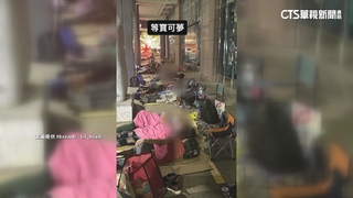 台北寶可夢中心再現「夜排大軍」　「百變怪」系列太夯吸黃牛