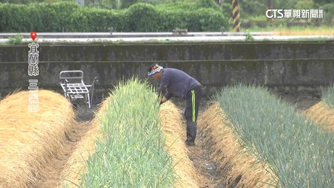 強颱「樺加沙」發陸警! 全台農漁民忙防颱