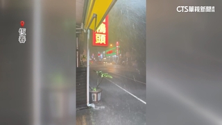 樺加沙影響凌晨風雨強！　恆春颳強陣風路樹猛晃