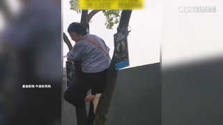 爬樹看球賽！　中國足球賽門票秒殺　官方推「樹上掛票」