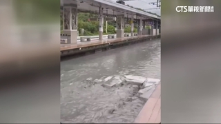 光復車站鐵軌被淹　台鐵鳳林站至瑞穗站8點搶通行駛