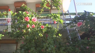 溢流黑泥淹光復市區　居民進出家門只能爬梯