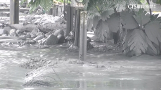 喜事變喪事...月初才寄喜帖　罹難婦人兒：人禍多於天災