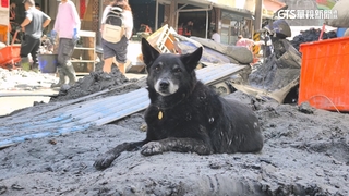 先趕4隻愛犬上樓！　麵攤阿嬤跌倒被水沖走亡