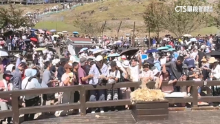 南投清境農場迎假期高峰！　單日入園人數破5000人