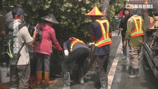 光復災區中學街住戶農藥中毒！　居民清掃家園頭暈嘔吐