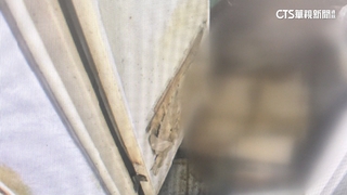 果園廁所驚見失聯14月弟枯骨　兄控詐騙害命