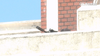 雙十國慶大會維安高規格　總統府頂樓狙擊手待命