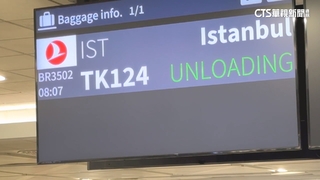 希臘返台班機故障旅客卡土耳其　業者：全力協助