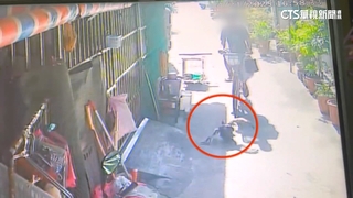 不滿擋去路輾「鴨」奪命！　單車男遭法院判拘役20天