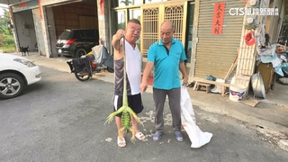 1.5米綠鬣蜥撞上家門　碰！住戶：以為機車倒了