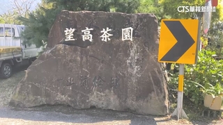 望高茶園.宮廟爆長期占原保地　南投縣府：列管排拆