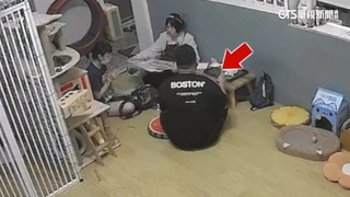 通緝犯騙店家.攤商辛苦錢　曾假冒百貨名義行騙