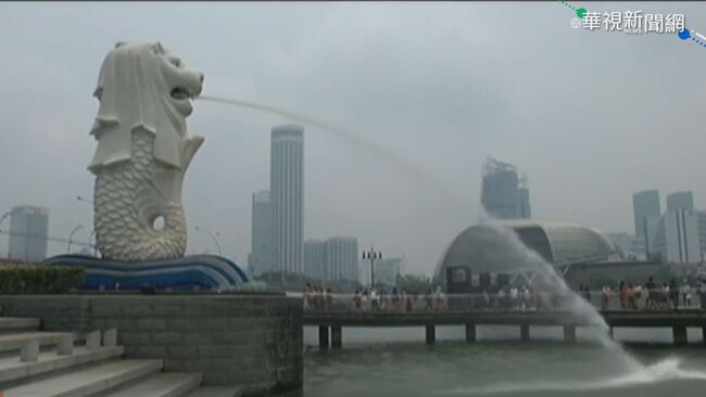 藍委喊跟進星國詐騙鞭刑　謝知橋曝「新加坡只鞭男的」 網：突然支持了 | 華視新聞