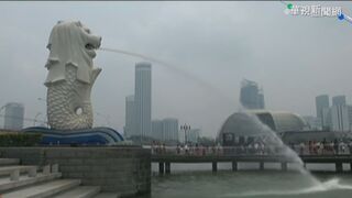 藍委喊跟進星國詐騙鞭刑　謝知橋曝「新加坡只鞭男的」 網：突然支持了