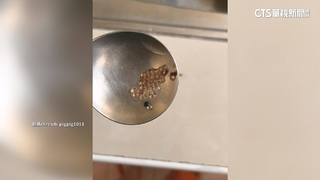 以為是榛果！　民眾「喝到乾燥劑」　控店家未賠償.道歉