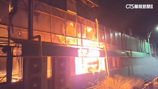 台南後壁蘭花廠惡火　「萬株花」部分燒毀估損300萬