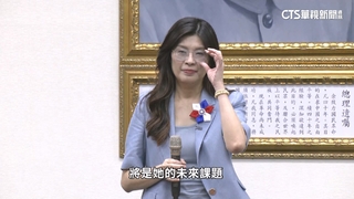 曾披綠戰袍　鄭麗文參選：喊話扁立即舉辦台獨公投