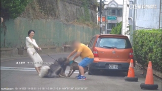 再傳比特犬攻擊！　女模愛犬遭咬10公分傷口畫面曝