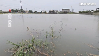 睡夢中驚醒！蘇澳鎮2里「土石流紅警」　凌晨急撤101人