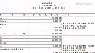 入不敷出！　民眾黨113年收入4260萬支出逾9千萬