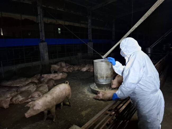 非洲豬瘟拖10天才送檢？　中市府澄清：訪視時沒出現典型症狀 | 華視新聞