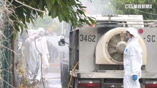 疑爆非洲豬瘟！　台中肉品市場賣出28頭流向要查