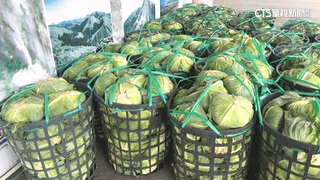 花蓮台8線路斷！　農民耗7hrs繞路　菜損慘賠