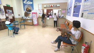 獸醫佐不能診斷.開處方　農局卻稱與護士意思一樣