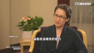 德媒專訪談貓被逼牆角也會反擊！　蕭：善待台灣這隻貓