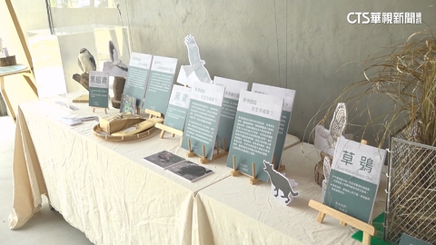 【台語新聞】認識生活中猛禽... 台灣原生種標本曝光