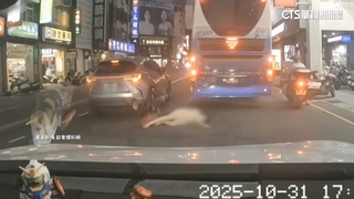 不走斑馬線穿車陣！　婦奔對向沒看車　遭撞摔地