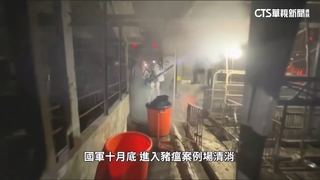 豬瘟案動保處約聘員「誤判指令」擅闖清消　農業部要求徹查