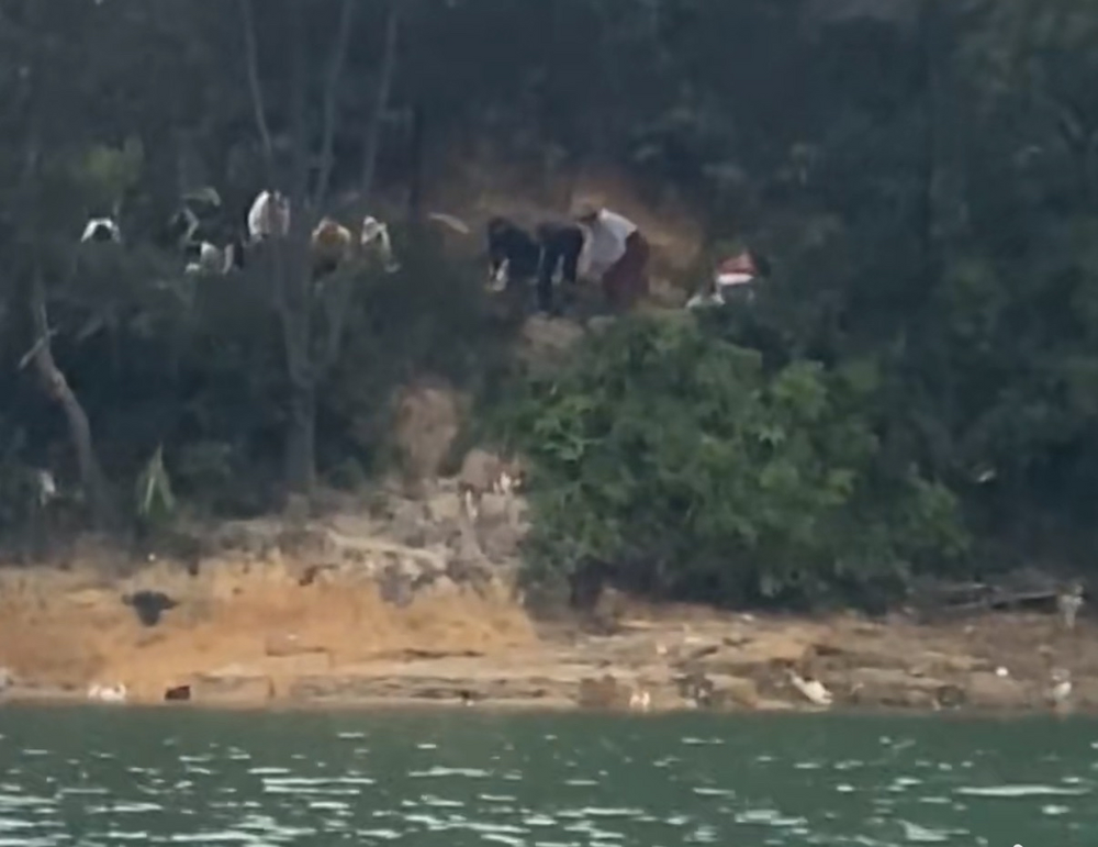 (圖/翻攝自 微博)